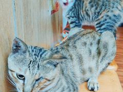 -豆丰香(建馨阁店)