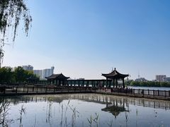 -莲花池公园