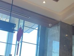 -星河湾温泉洗浴酒店