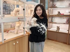 -翊宠yipet猫狗购宠庄园犬舍•猫舍