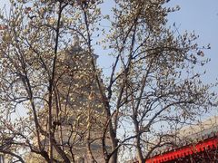 -大慈恩寺(大雁塔)