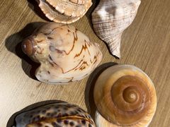 -宴小馆·小海鲜青岛菜(五四广场店)