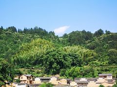 -杨家堂村
