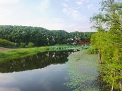 -同里国家湿地公园