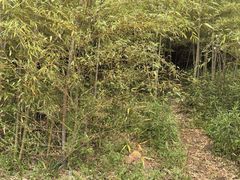 -阳澄湖半岛旅游度假区