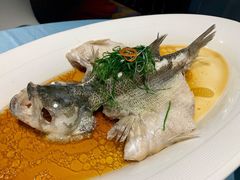 鲈鱼-青螺餐厅·家宴(松雅湖店)