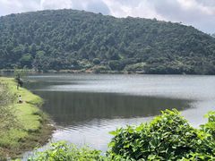 -大姆山草场