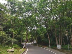 -火炉山森林公园