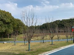 -新洲生态园