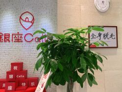 -银座Calla日式美容沙龙