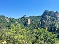 -大岭沟猕猴桃谷风景区