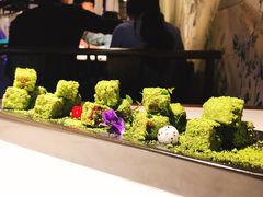 -韵秋荷(宝山龙湖天街店)