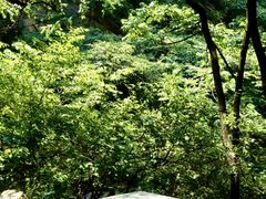 -少华山国家森林公园
