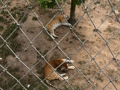 -西霞口神雕山野生动物世界