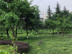 -重庆彩云湖湿地公园