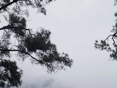 -南岳大庙