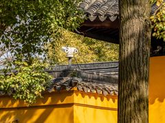-西园戒幢律寺