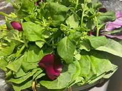 -慢丽江·云南野生菌土鸡锅(西山店)