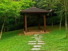 -火炉山森林公园