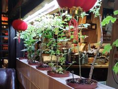 -望京一号·重庆江湖菜(工体店)