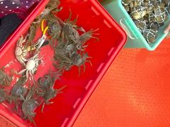 -蟹天蟹地农家菜·阳澄湖大闸蟹(浅水湾店)