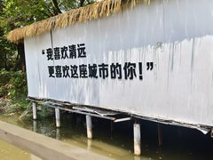 -芭厘农庄老字号·清远鸡