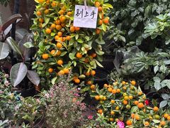 -循礼门鲜花花市(武汉循礼门店)