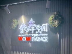 -wow舞蹈培训