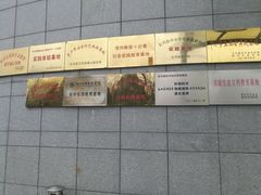 -金钉子远古世界景区