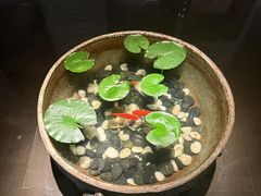 -曲水兰亭(北京四惠店)