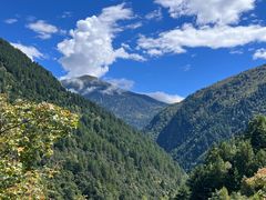 -金鼎雪山牦牛杂火锅(理县总店)