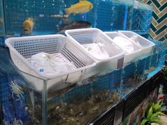 -翠微家园超市(甘家口店)