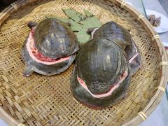 -川骄海鲜自助(河东店)