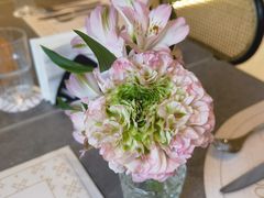 -HUATA 'Holiday Plan 花榻