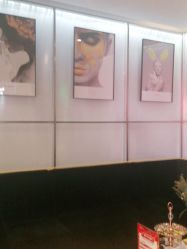 -崇尚GAVIN STYLE臻选