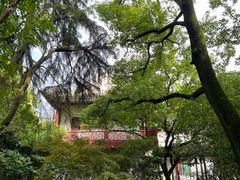 -汇龙潭