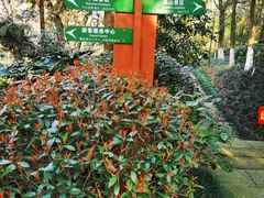 -杭州半山国家森林公园