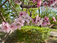 -永定河休闲森林公园