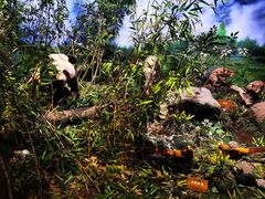 -陕西自然博物馆