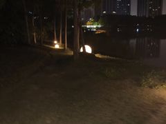 -南翔镇银翔湖公园