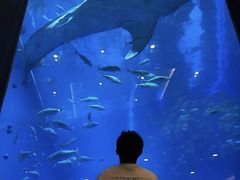 -成都浩海立方海洋公园