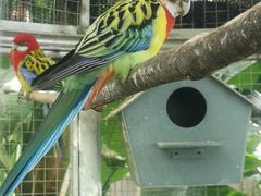 -大连森林动物园