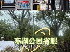 -东湖公园