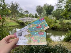 -鹅湖玫瑰文化园