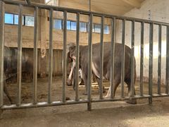 -石家庄市动物园