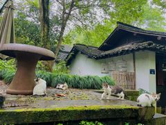 -法云安缦酒店