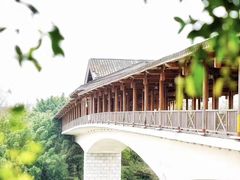 -福建鲤鱼洲酒店