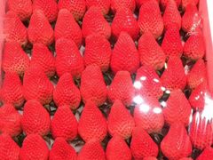 -西郊国际农产品交易中心
