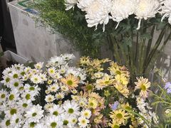 -Gigi Florist·Dk Coffee