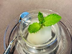 柠檬冰霜-羲和雅苑•北京烤鸭(平安国际金融中心店)